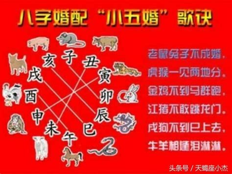 男金女金|男金女金的夫妻命运 命格相互契合